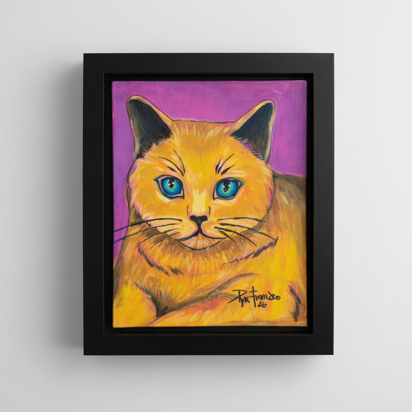 Yellow cat